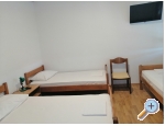 Appartements Dado - Starigrad Paklenica Kroatien