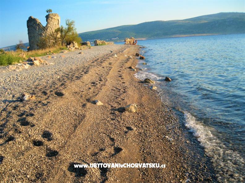 Ferienwohnungen Danica - near beach – Ferienwohnung Starigrad Paklenica, Kroatien – Foto 8