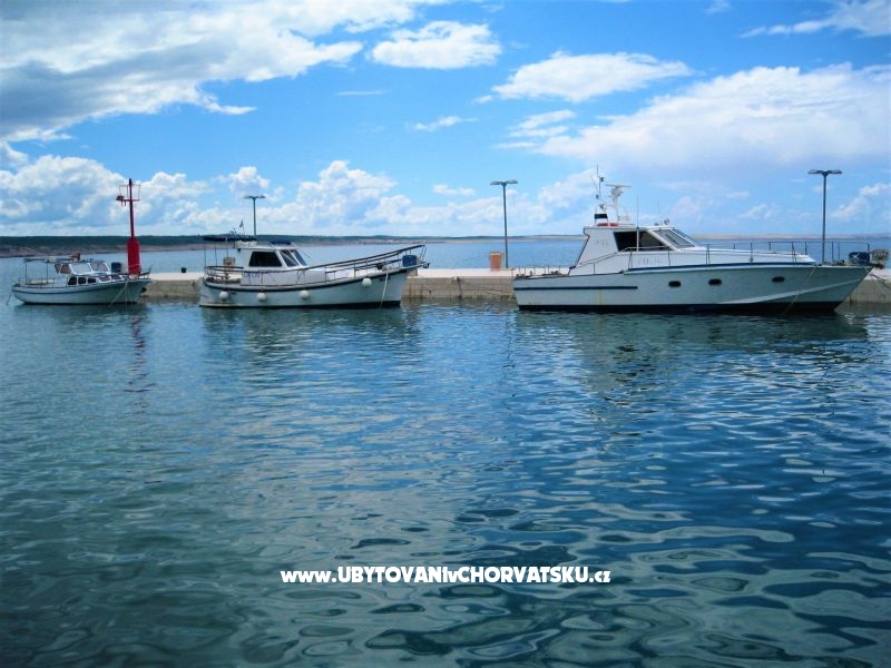 Ferienwohnungen Danica - near beach – Ferienwohnung Starigrad Paklenica, Kroatien – Foto 9