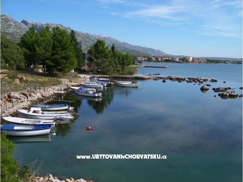 Ferienwohnungen Villa Nina – Ferienwohnung Starigrad Paklenica, Kroatien – Foto 2