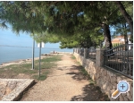 Appartements Bosi i Goli - Starigrad Paklenica Kroatien