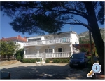 Appartements Bosi i Goli - Starigrad Paklenica Kroatien
