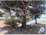 Appartements Bosi i Goli - Starigrad Paklenica Kroatien