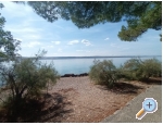 Appartements Bosi i Goli - Starigrad Paklenica Kroatien