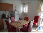 Appartements koko-seline - Starigrad Paklenica Kroatien