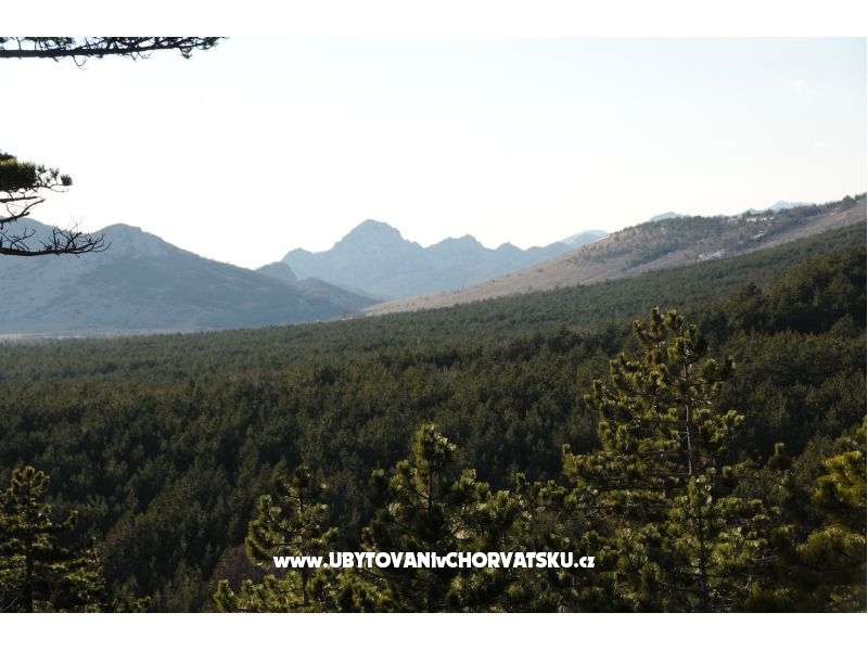 Pension Ivan – Ferienwohnung Starigrad Paklenica, Kroatien – Foto 17