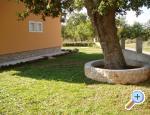 Ferienwohnungen Mirjana*** - Starigrad Paklenica Kroatien