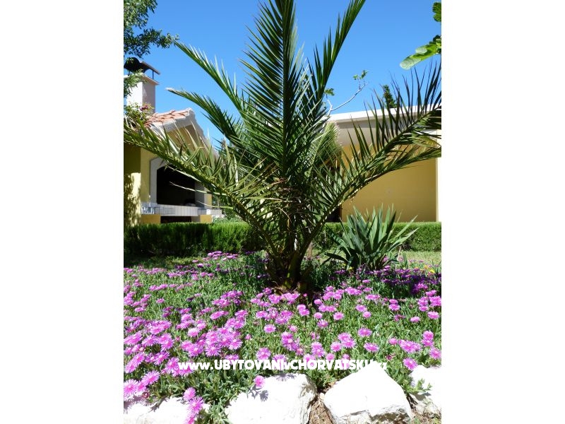 Vila Ana – Ferienwohnung Starigrad Paklenica, Kroatien – Foto 14