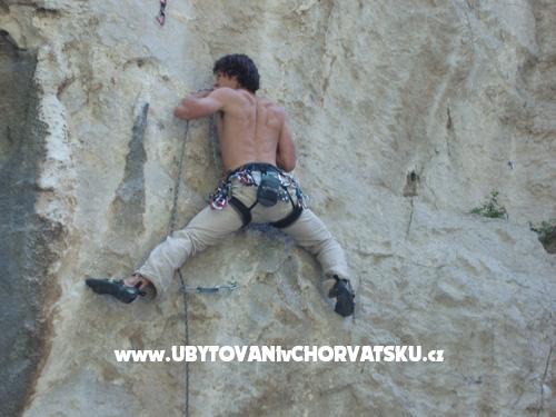 Villa Mirta – Ferienwohnung Starigrad Paklenica, Kroatien – Foto 12