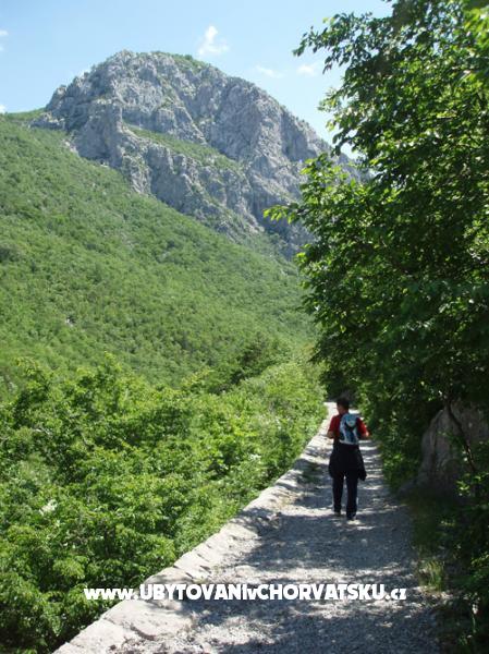 Villa Mirta – Ferienwohnung Starigrad Paklenica, Kroatien – Foto 13