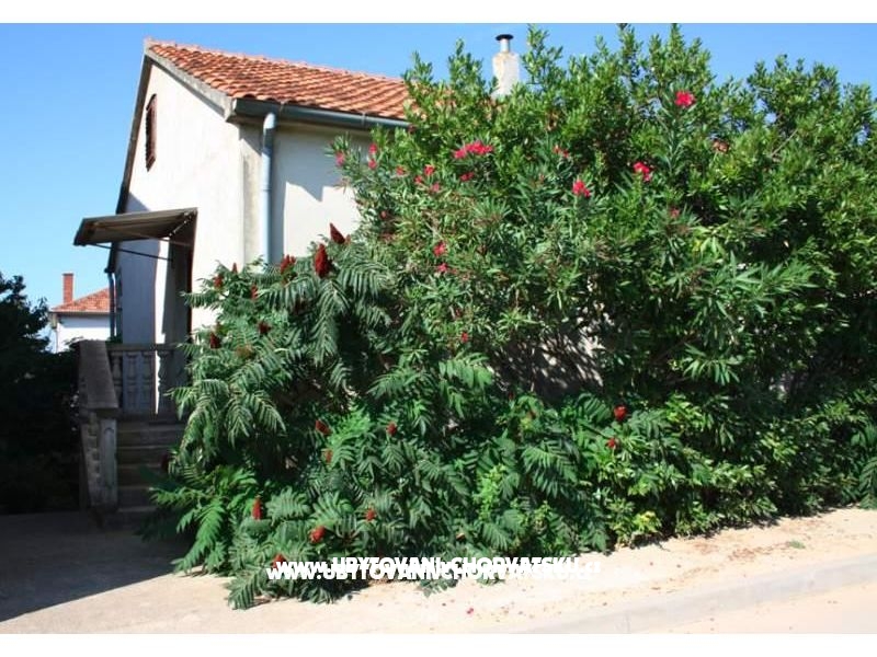 Apartment Marko – Ferienwohnung Pakostane, Kroatien – Foto 4