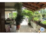 Apartamenty Anka - Pakotane Chorwacja
