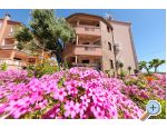 Appartements Dalmatino Pakotane - Pakotane Kroatien