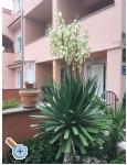 Appartements Ivan i Zeljka Pakostane - Pakotane Kroatien