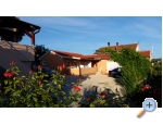 Appartements IVANKA - Pakotane Kroatien