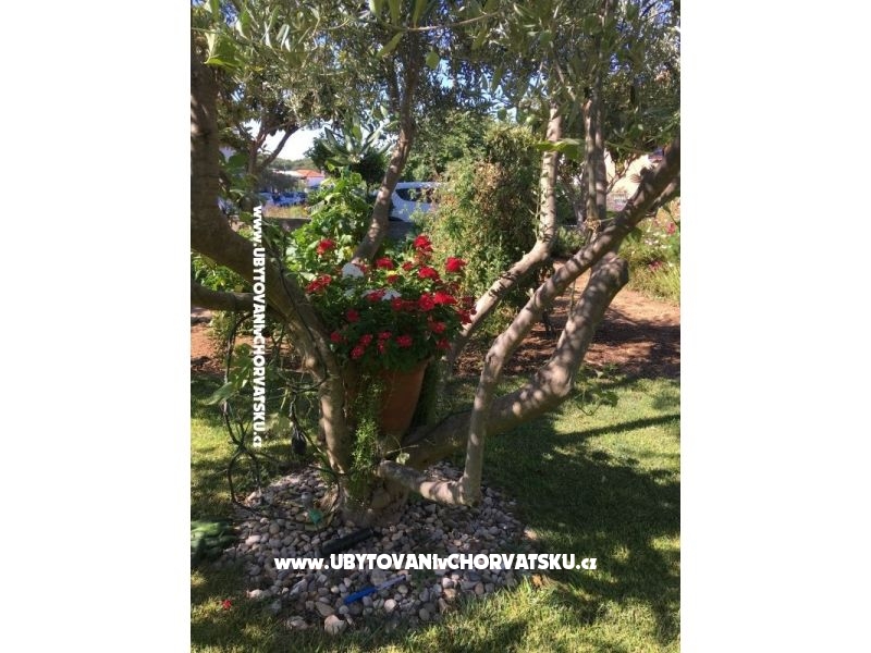 Appartements Jasa  – Ferienwohnung Pakostane, Kroatien – Foto 16