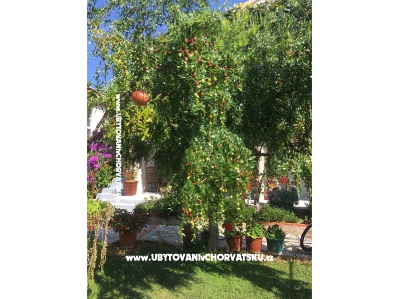 Appartements Jasa  – Ferienwohnung Pakostane, Kroatien – Foto 7