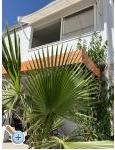Appartements Ksenija - Pakotane Kroatien