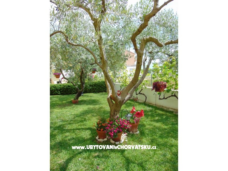 Appartements Maksan Josip – Ferienwohnung Pakostane, Kroatien – Foto 8