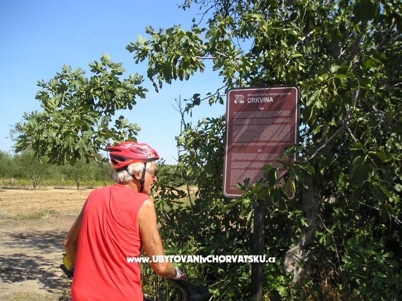 Appartements Mario – Ferienwohnung Pakostane, Kroatien – Foto 17