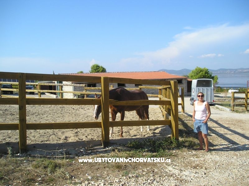 Appartements Mario – Ferienwohnung Pakostane, Kroatien – Foto 18