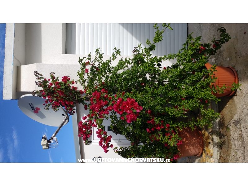 Appartements Pipi – Ferienwohnung Pakostane, Kroatien – Foto 12