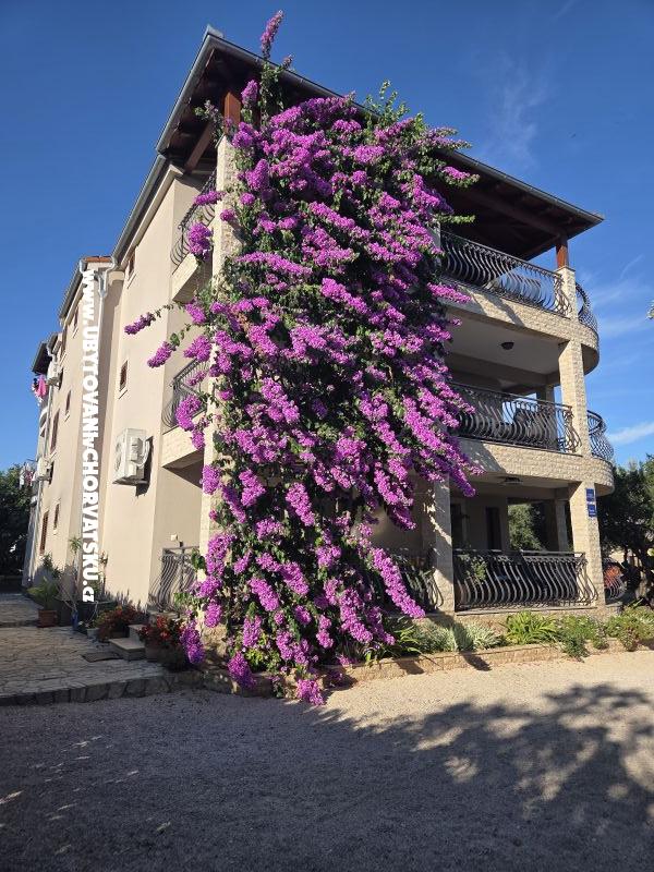Apartmány Silvija – ubytování Pakoštane, Chorvatsko – foto 19