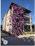 Apartmány Silvija – Pakoštane – náhled 19