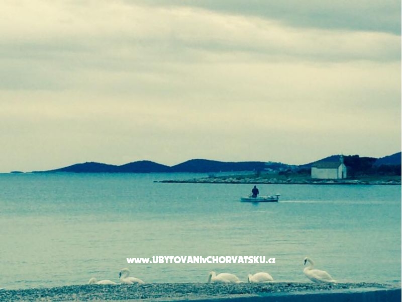 Appartements Stefi – Ferienwohnung Pakostane, Kroatien – Foto 16