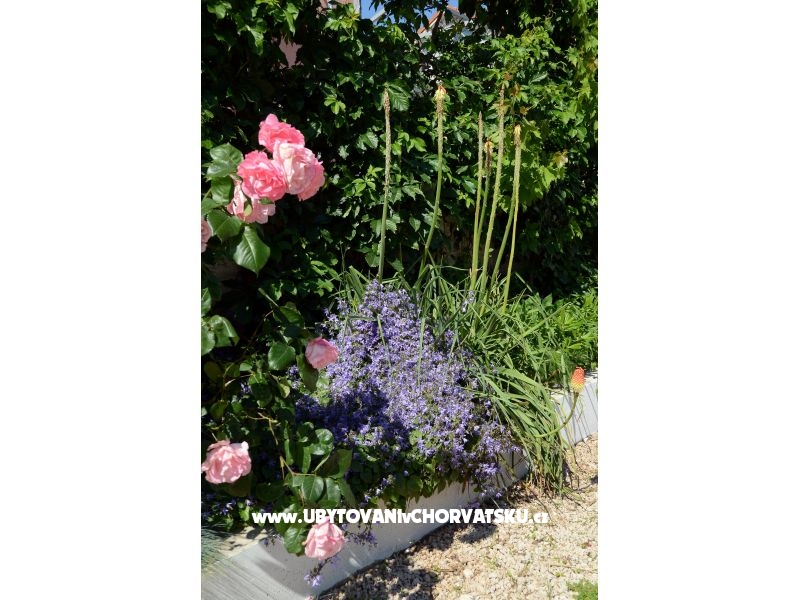 Apartmenty Stupavsky – Ferienwohnung Pakostane, Kroatien – Foto 13