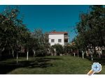 Appartements Ivii - Pakotane Kroatien