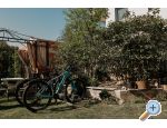 Appartements Ivii - Pakotane Kroatien