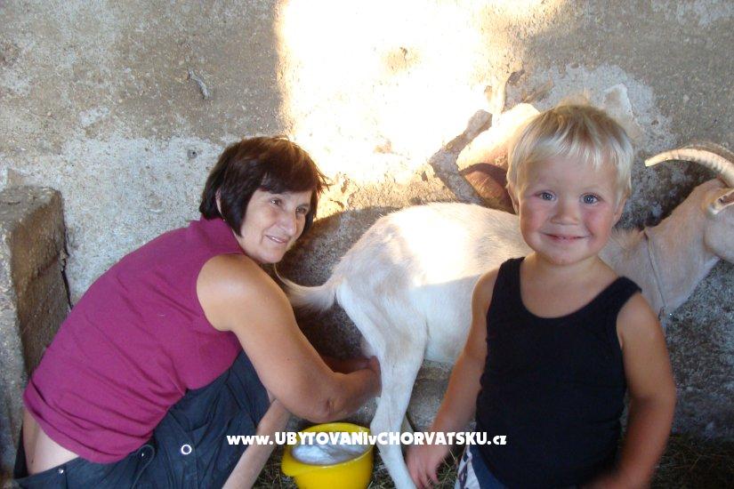 Apartmány Sokalo-Petar – ubytování Pakoštane, Chorvatsko – foto 8