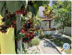 Beach Haus Punta - Pakotane Kroatien