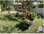 Beach Haus Punta - Pakotane Kroatien