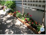 Appartements Sinjal - Pakotane Kroatien