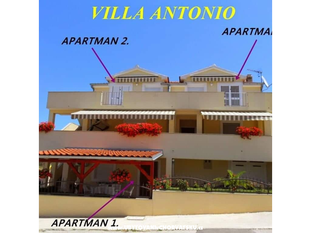 Apartmaji Antonio - Pako�tane Hrva�ka