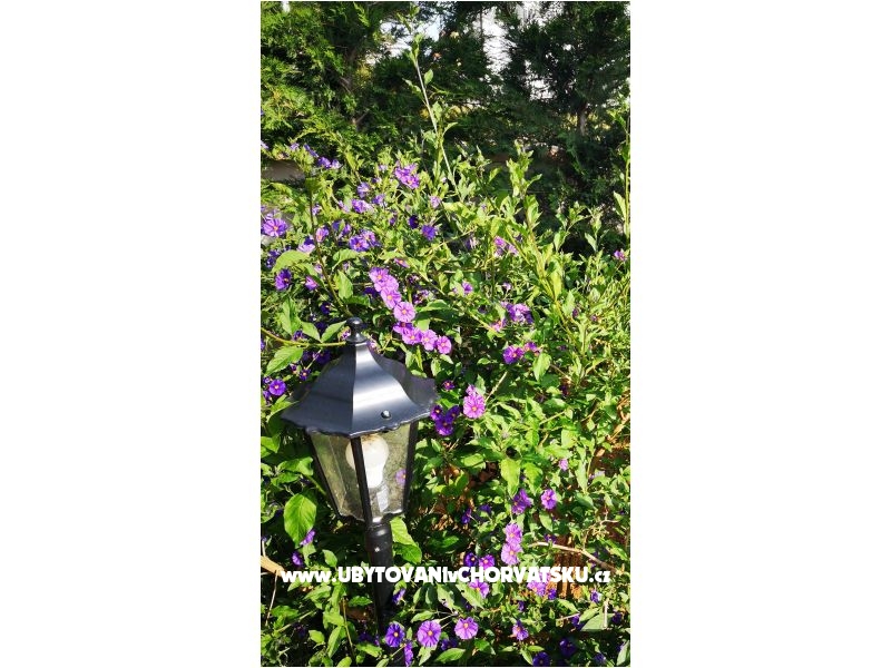 Villa Hana  – Ferienwohnung Pakostane, Kroatien – Foto 11