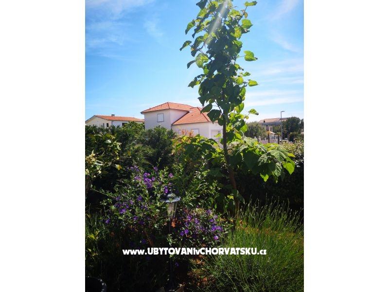 Villa Hana  – Ferienwohnung Pakostane, Kroatien – Foto 17