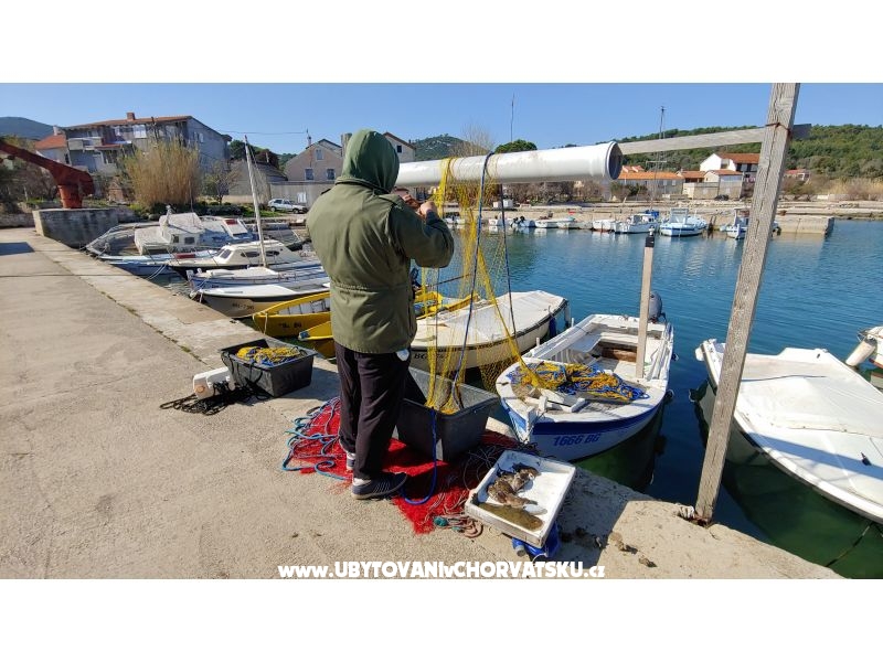 Apartmán Niko – ubytování ostrov Pašman, Chorvatsko – foto 7