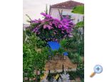 Appartements Marija-Tkon - ostrov Paman Croatie