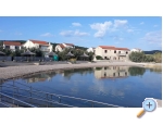 Appartements Alicia - ostrov Paman Kroatien
