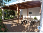 Appartements Alicia - ostrov Paman Kroatien
