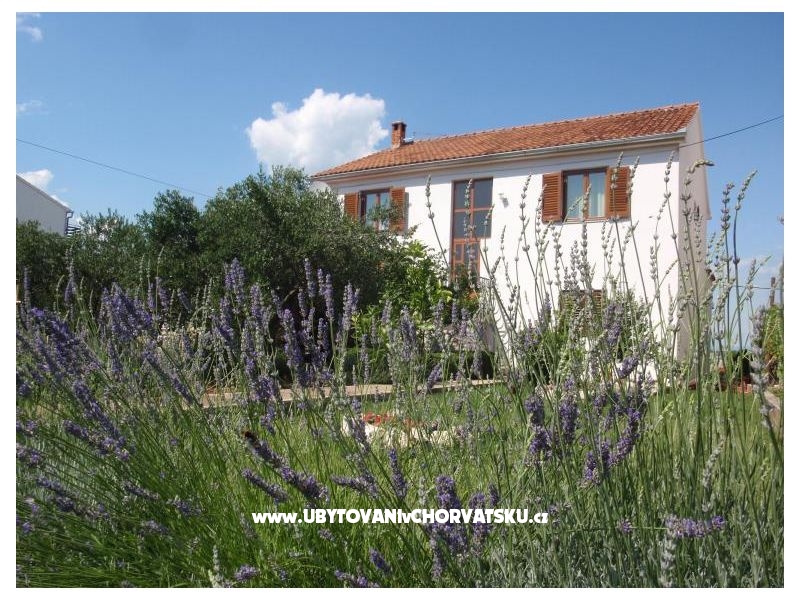 Appartements Blazenka – Ferienwohnung Insel Pasman, Kroatien – Foto 1