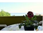 Appartements Erna - ostrov Paman Kroatien