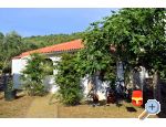 Apartmaji Erna - ostrov Paman Hrvaka