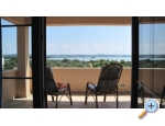 Apartmaji Villa Iva - ostrov Paman Hrvaka