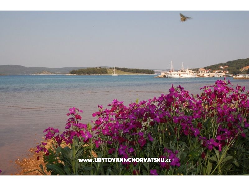 Appartements Marinero – Ferienwohnung Insel Pasman, Kroatien – Foto 9