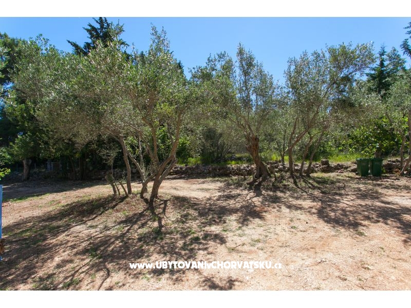 Appartements Maris – Ferienwohnung Insel Pasman, Kroatien – Foto 12