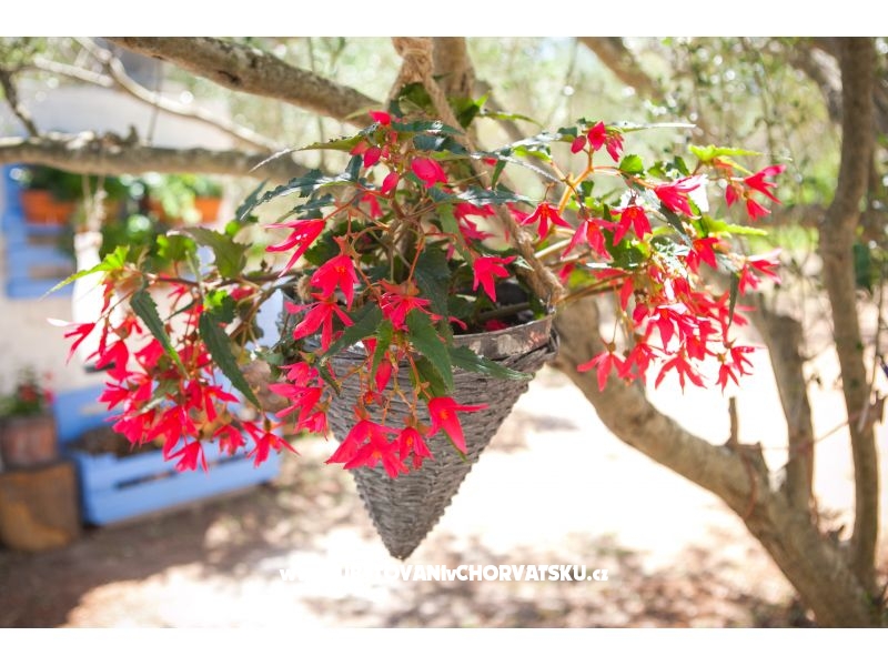 Appartements Maris – Ferienwohnung Insel Pasman, Kroatien – Foto 13